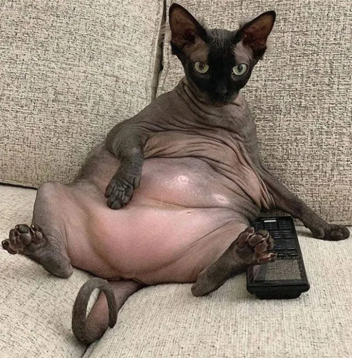 Casual Friday Night