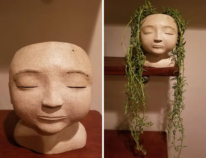 My $2 Yardsale Find Today! Already Had The Perfect Plant For It Too