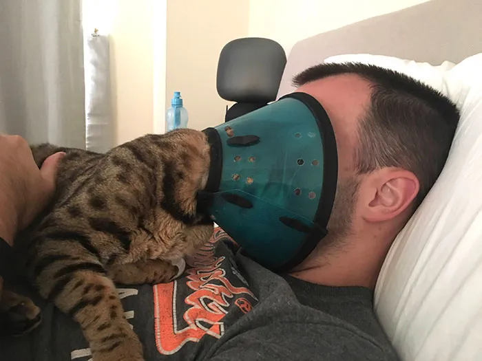 35 Pics Of Pets Not Rocking The Cone Of Shame At All