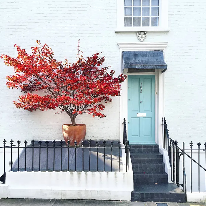 These 30 Charming Front Doors Around London Look Like They're Part Of Sets In A Wes Anderson Movie