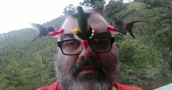 To Study Hummingbirds Up Close, This Man Attached Feeders To His Glasses