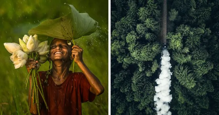 We Challenged Photographers To Show Their Most Beautiful ‘Green' Photos, Here Are 50 Of The Best Ones