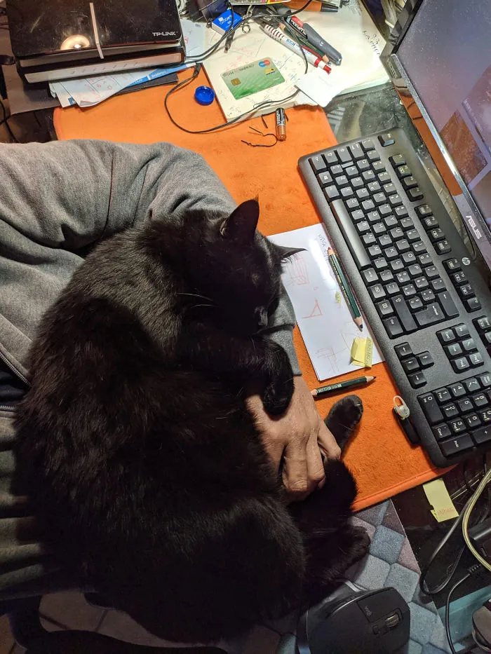 Me While Smartworking...