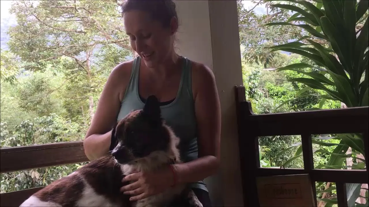 Rob's Dogs Founder Tells The Story Of How She Fell In Love With And Adopted Her First Rescue Dog Moe.