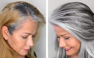 Instead Of Covering Grey Roots, This Hairdresser Makes Clients Embrace It With His Powerful Transformations (35 Pics)