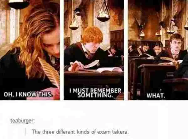 7 Harry Potter Memes That Make Me Spit My Butterbeer