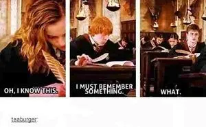7 Harry Potter Memes That Make Me Spit My Butterbeer