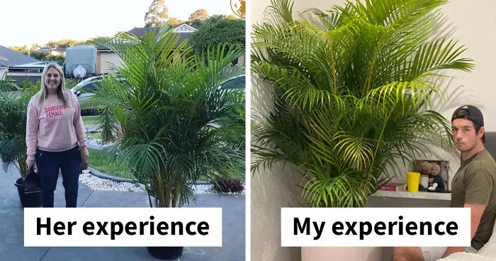 Husband Can't Handle His Wife's 'Jurassic'-Sized Plants, Shares A Hilarious Rant As A Response