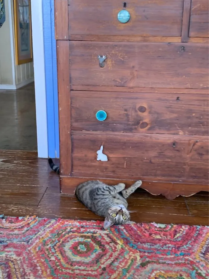 A Little Help??