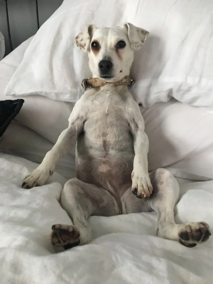 Yah, Dahling?