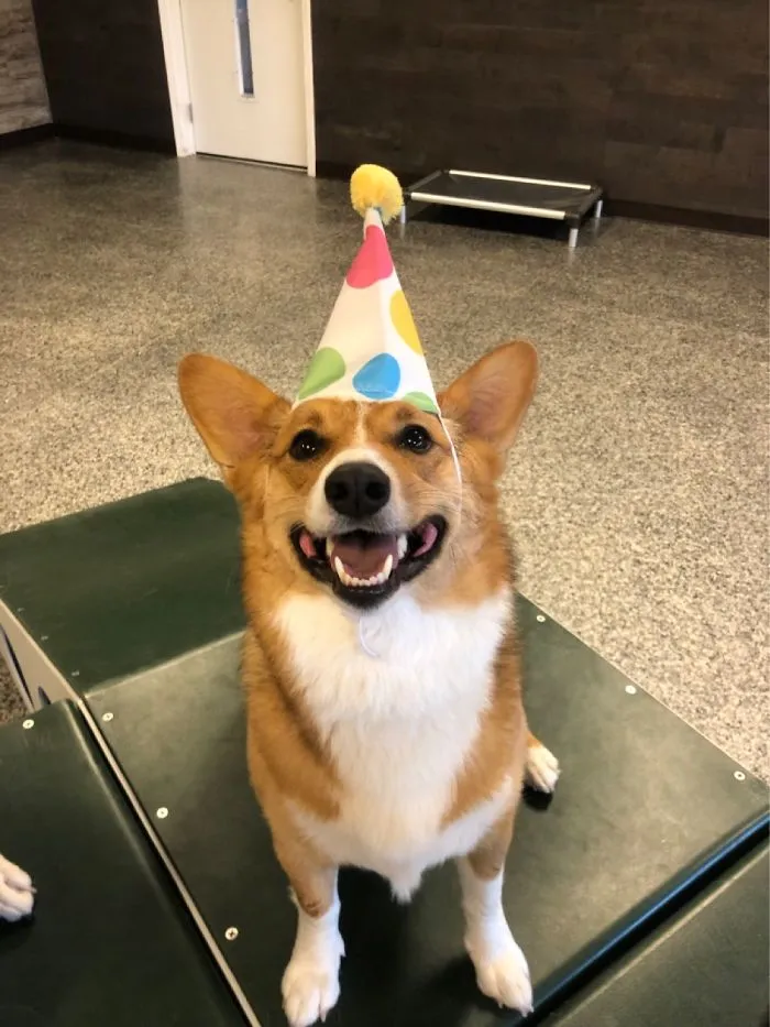 Rosie Turned 2