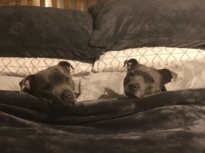 It’s Our Bed Now!