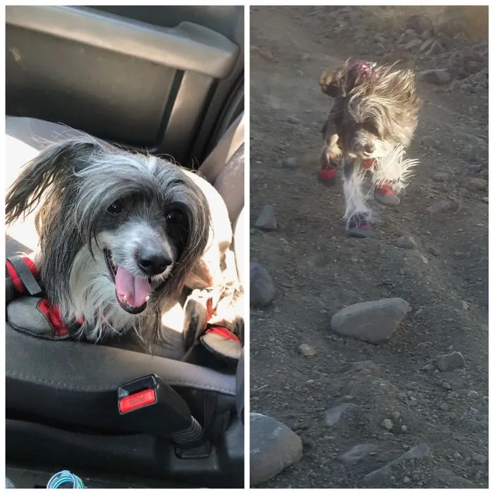 Ready For A Trail Run!