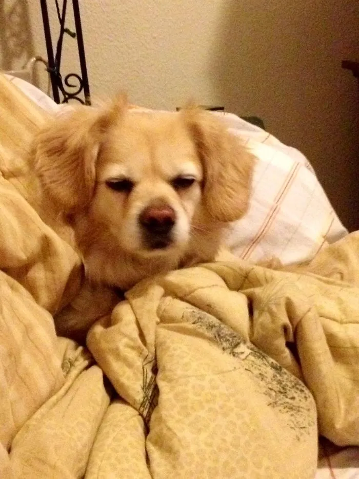 Just Woke Her Up From A Deep Sleep Or Stoned? You Choose 😁