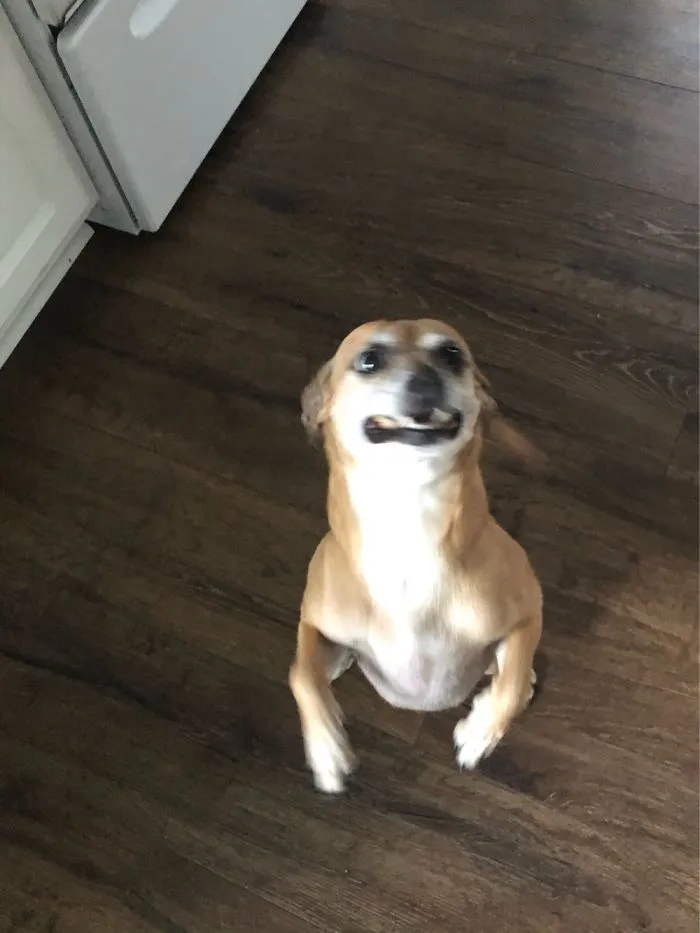I Need Food