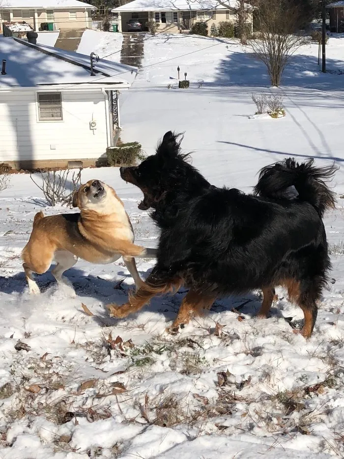 They Love Each Other. I Promise.
