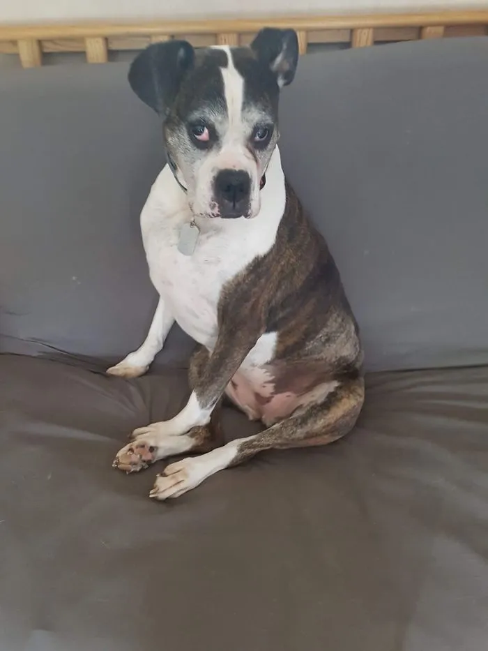 Fiona Posing For Her Glamour Shot.   So Much Sass
