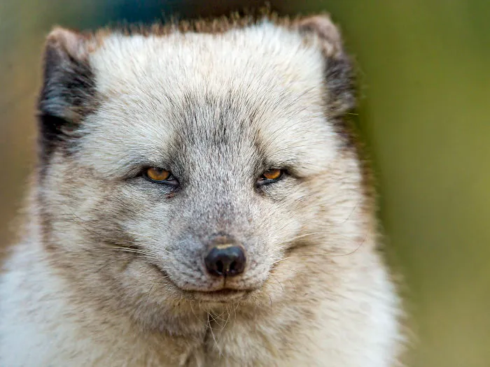 People Are Sharing Facts That Blew Their Minds And Here Are 30 Of The Most Interesting Ones