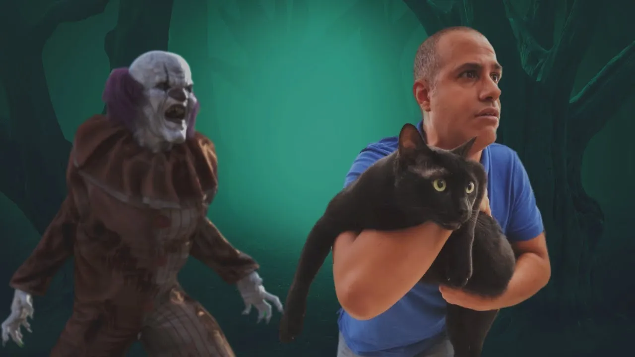 How Did I And My Black Cat Find Out That There's Evil In The House?