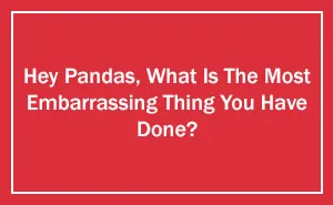Hey Pandas, What Is The Most Embarrassing Thing You Have Done? (Ended)