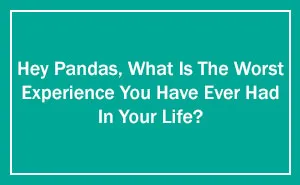 Hey Pandas, What Is The Worst Experience You Have Ever Had In Your Life? (Ended)