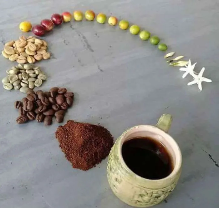 Coffee