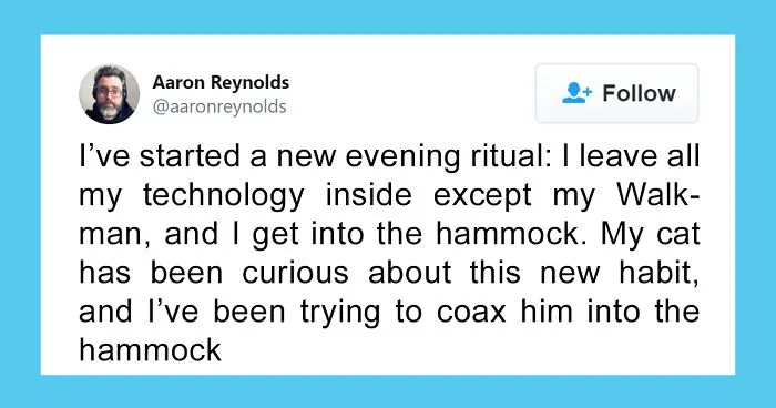 Guy With Poor Eyesight Thinks His Cat Is Climbing Into A Hammock, Realizes It's An Unwelcome Guest Too Late