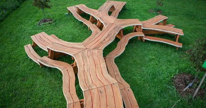 This Mesmerizing Picnic Table Looks Like A Massive Branching Tree