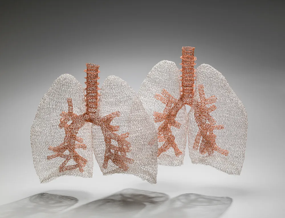 Anne Mondro Crocheted Anatomically Correct Lungs Using 26-Gauge Steel And Copper