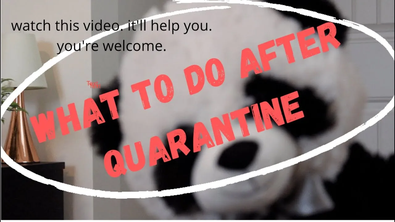 What To Do After Quarantine