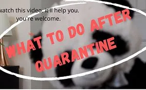 What To Do After Quarantine