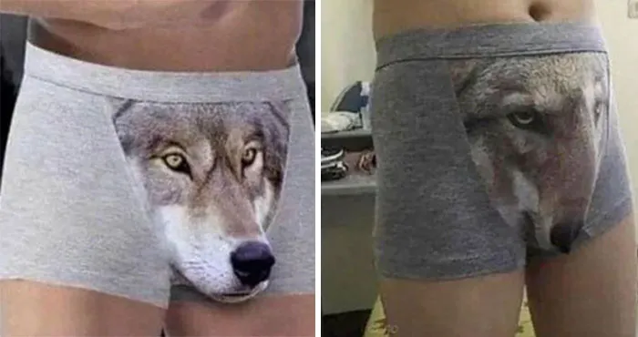 Thanks, I Hate The Wolf Pack