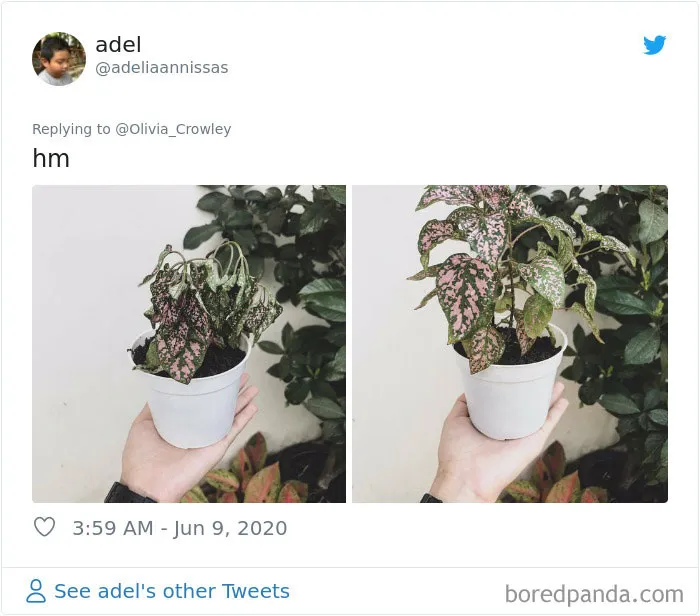 People Are Posting Pics Of Their Plants' Hilarious Dramatic Behavior (18 Pics)