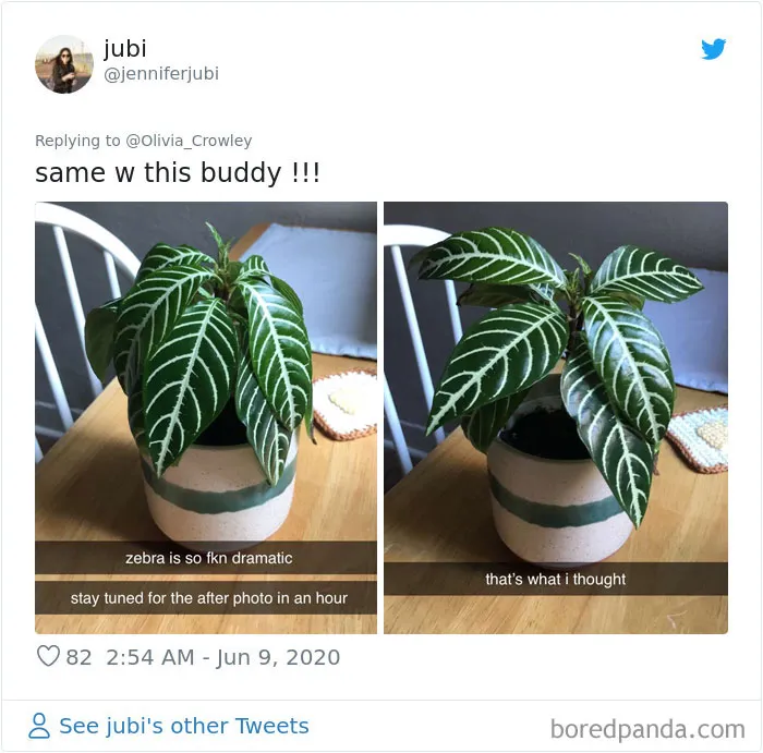 People Are Posting Pics Of Their Plants' Hilarious Dramatic Behavior (18 Pics)