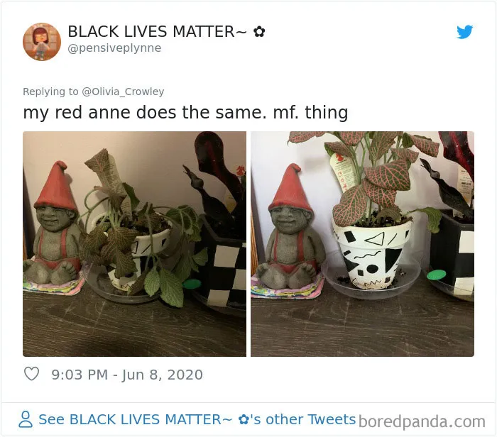 People Are Posting Pics Of Their Plants' Hilarious Dramatic Behavior (18 Pics)