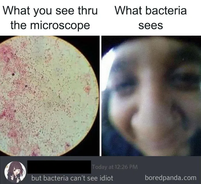 Bactiera Dosent Have Eyes Tho??!