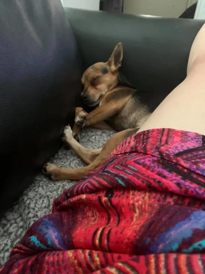Adopted 5 Hours Ago