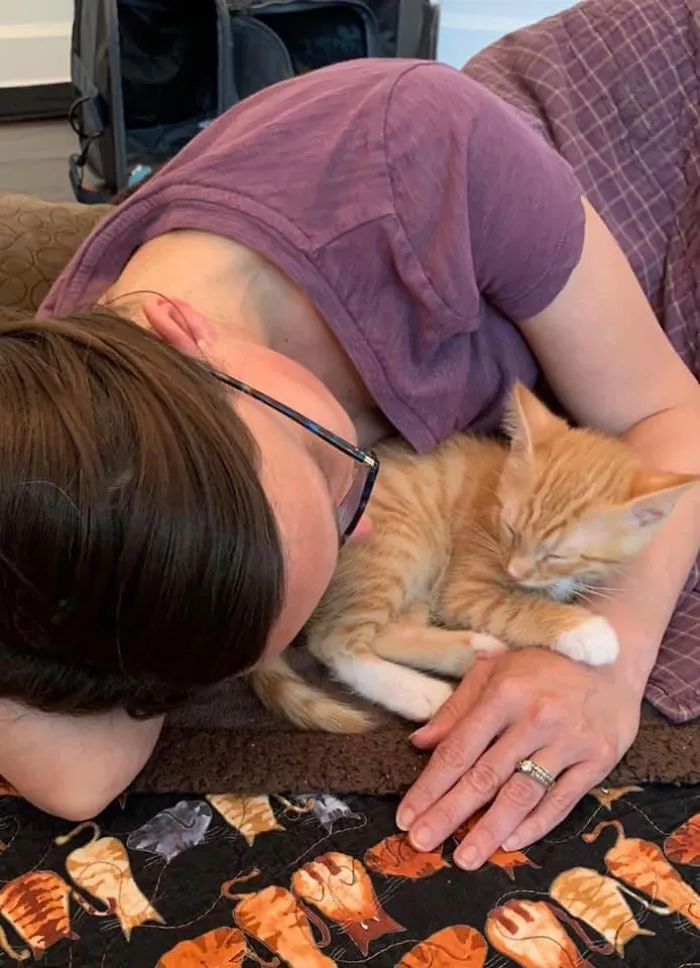 Una hora después de adoptar a nuestro gatito