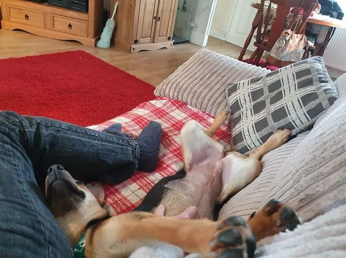 This Is Luna. Adopted Her A Week Ago. This Photo Was Taken 2 Hours After We Brought Her Home