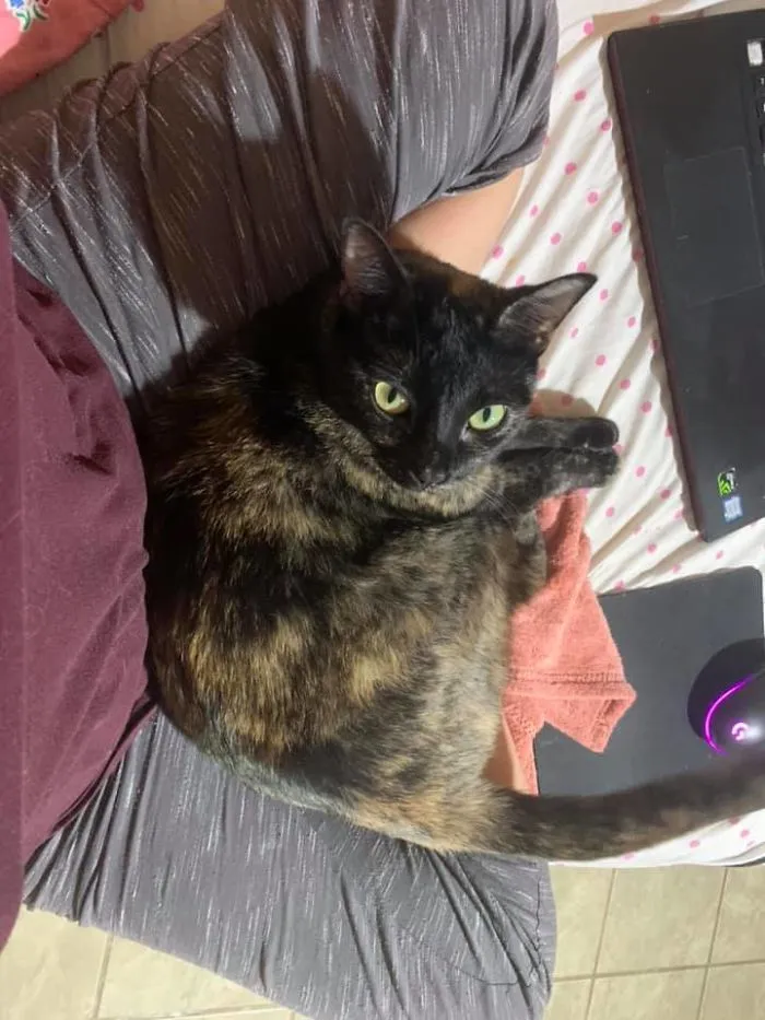 El día que adopté a Pepper