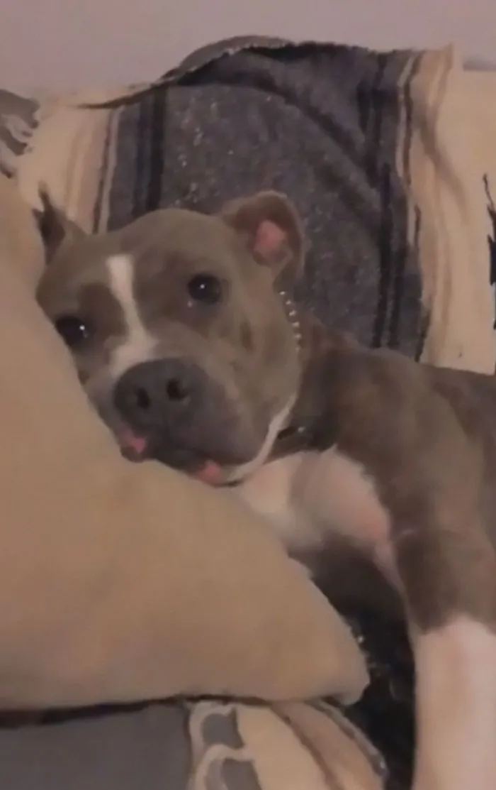This Was My Baby The Day I Adopted Her. She Slept For Hours. I Love Her To Death