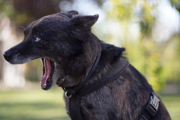 Raaaaaaaaaaaaaaaaaa