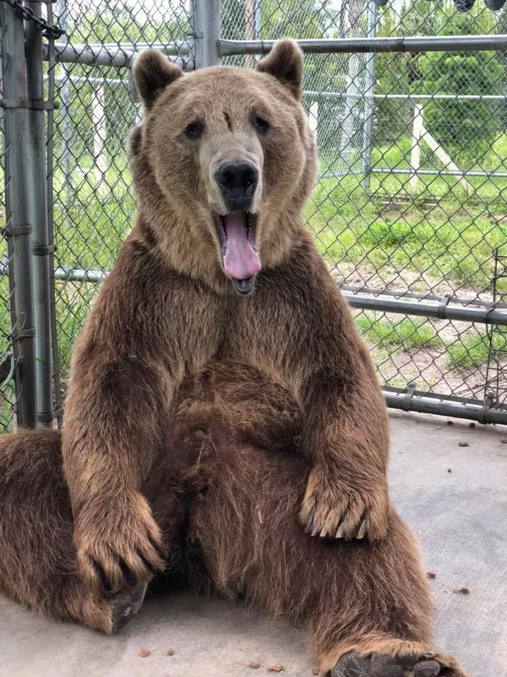 Stanley Is Chillin'!