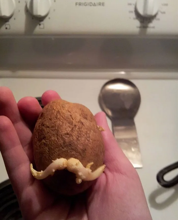 Ahora sabemos de donde vienen las Pringles