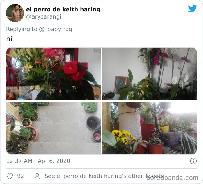 People Are Saying This Comic About Plants Is So True, And Post Pics To Prove It (30 Pics)