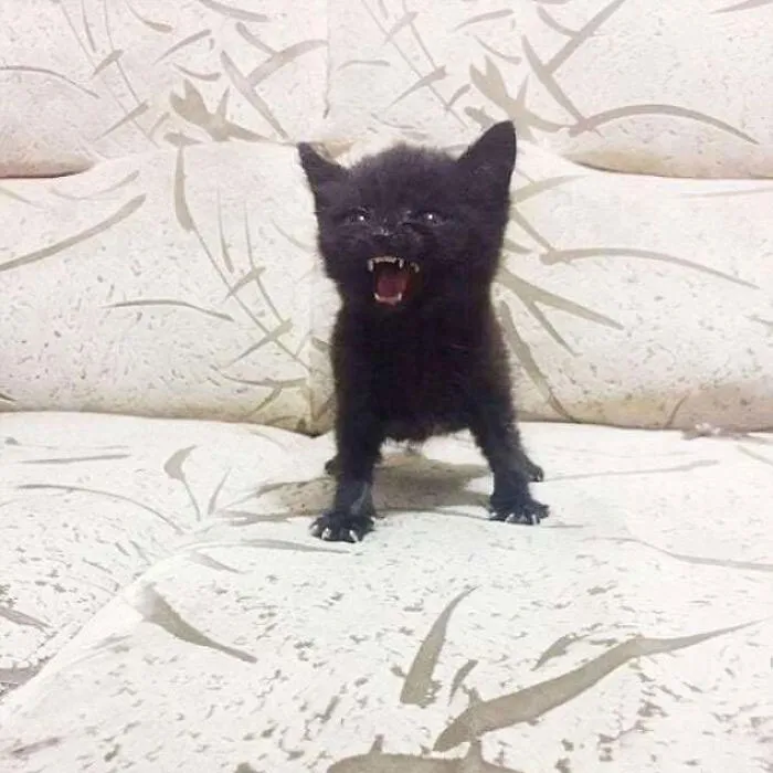 Es tan pequeño