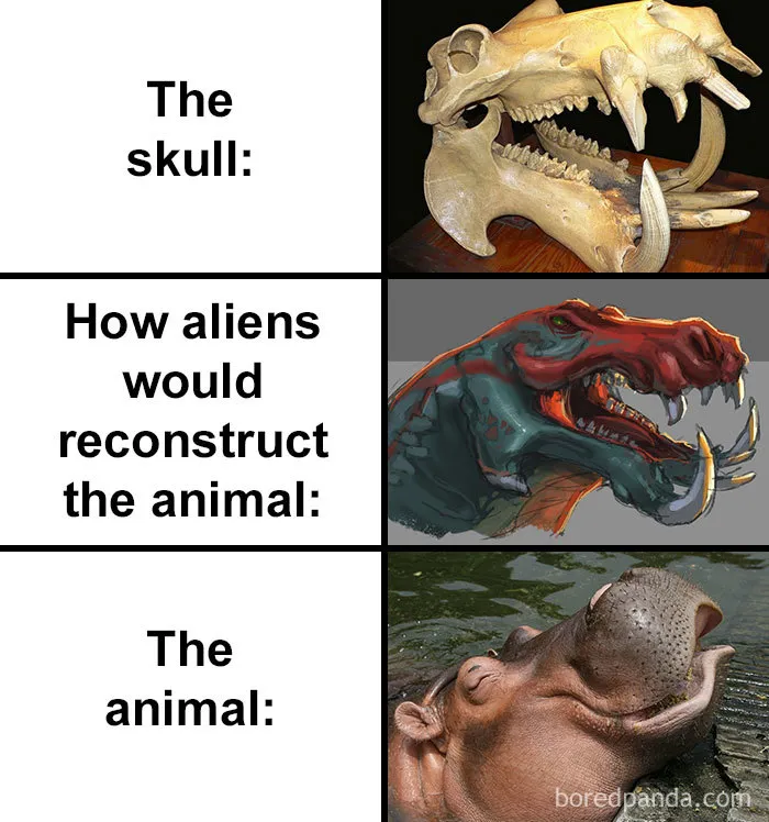 People Compare How Aliens Would Reconstruct Animals Based On Their Skulls Vs. What They Really Look Like (28 Pics)