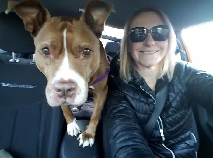 Woman Shares A Post About How Quickly Dogs Age To Remind People To Cherish Every Moment With Them