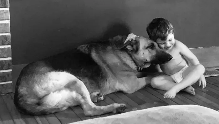 Woman Shares A Post About How Quickly Dogs Age To Remind People To Cherish Every Moment With Them
