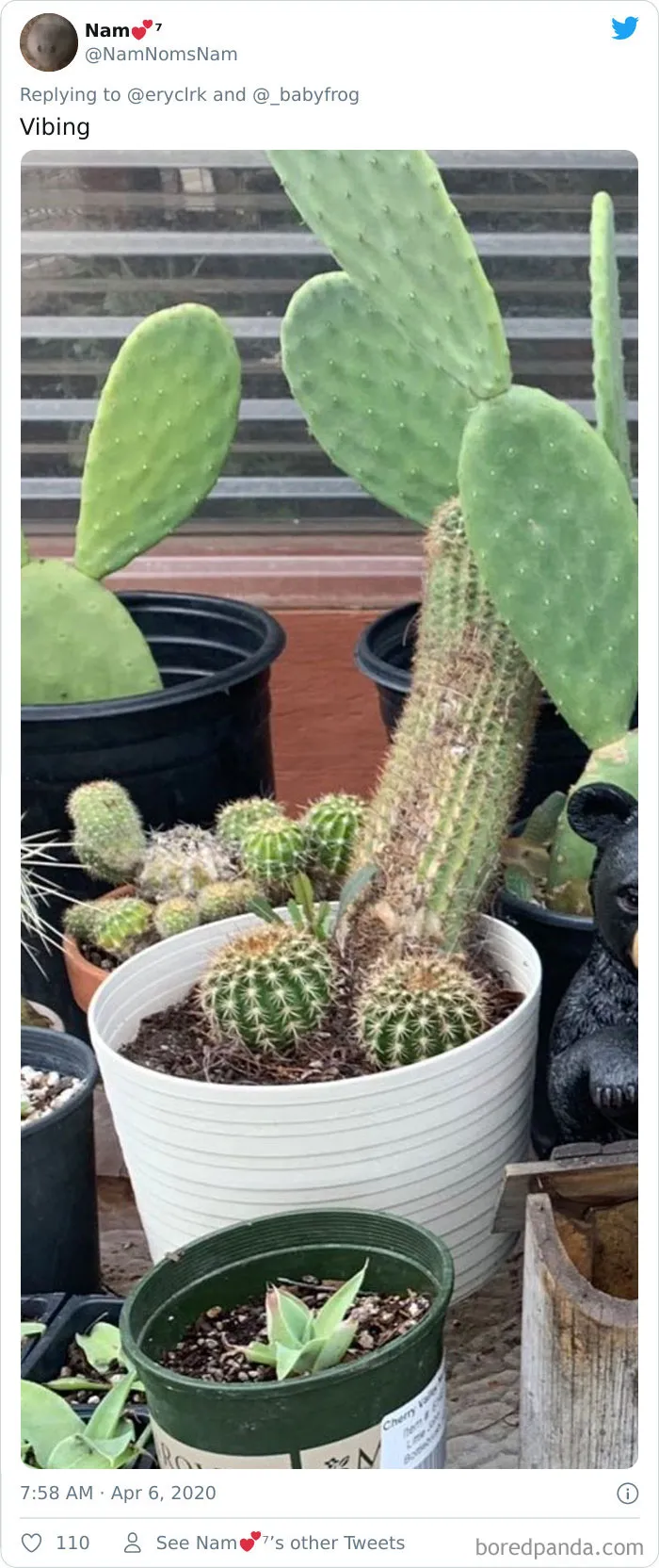 People Are Saying This Comic About Plants Is So True, And Post Pics To Prove It (30 Pics)